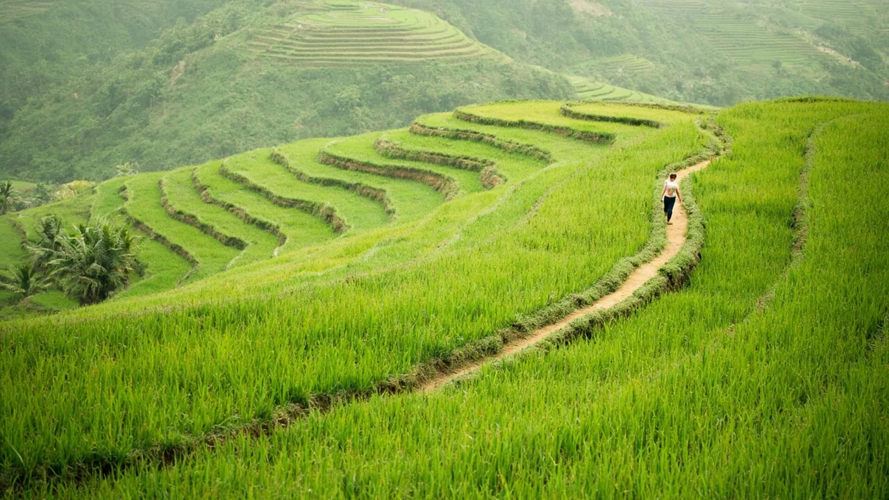 1 Day in Bali: The Perfect Itinerary for First-Timers (2026)