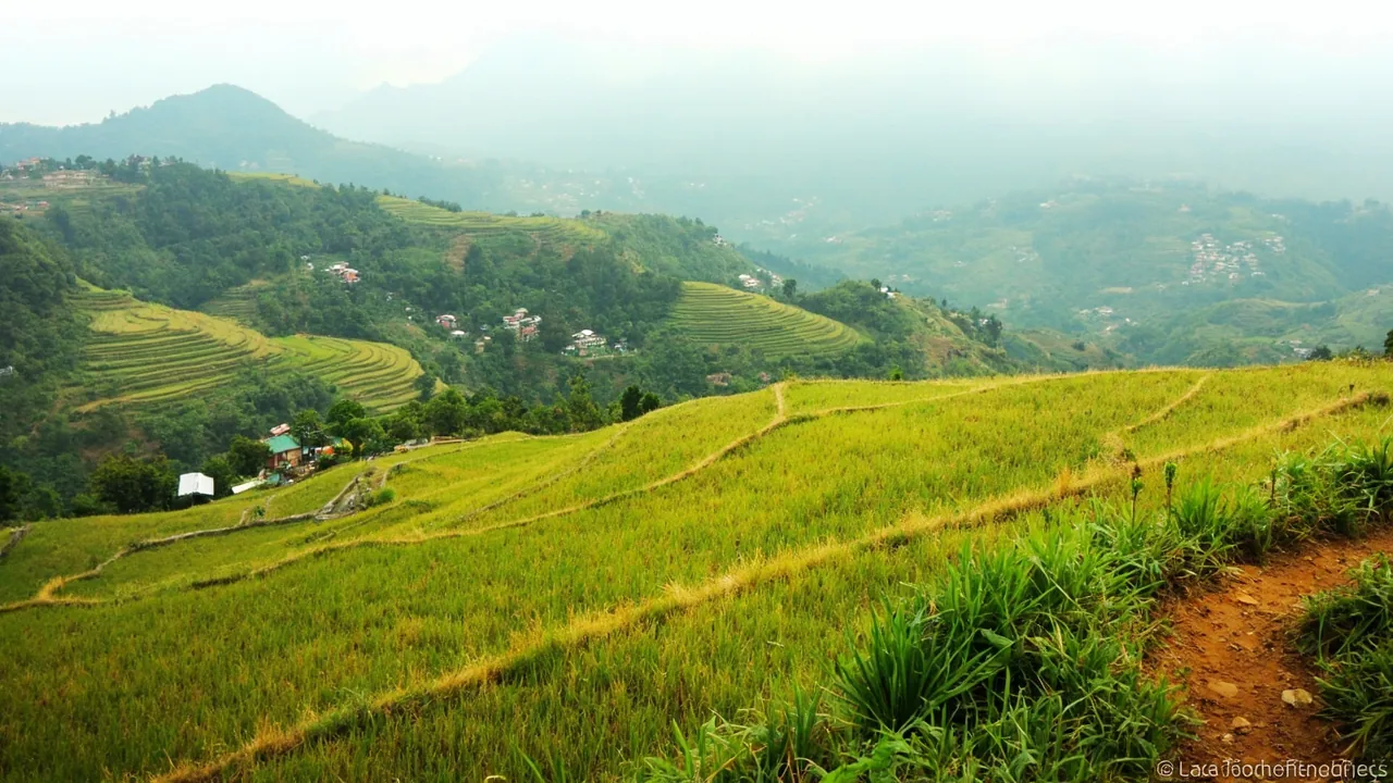 Sapa 1 Week Itinerary & Budget Guide for Indians (2026)