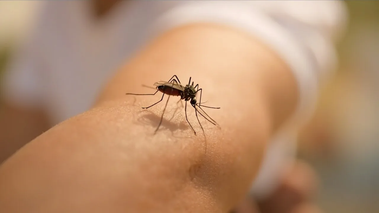 Dengue & Malaria in Southeast Asia: Real Risks for 2026