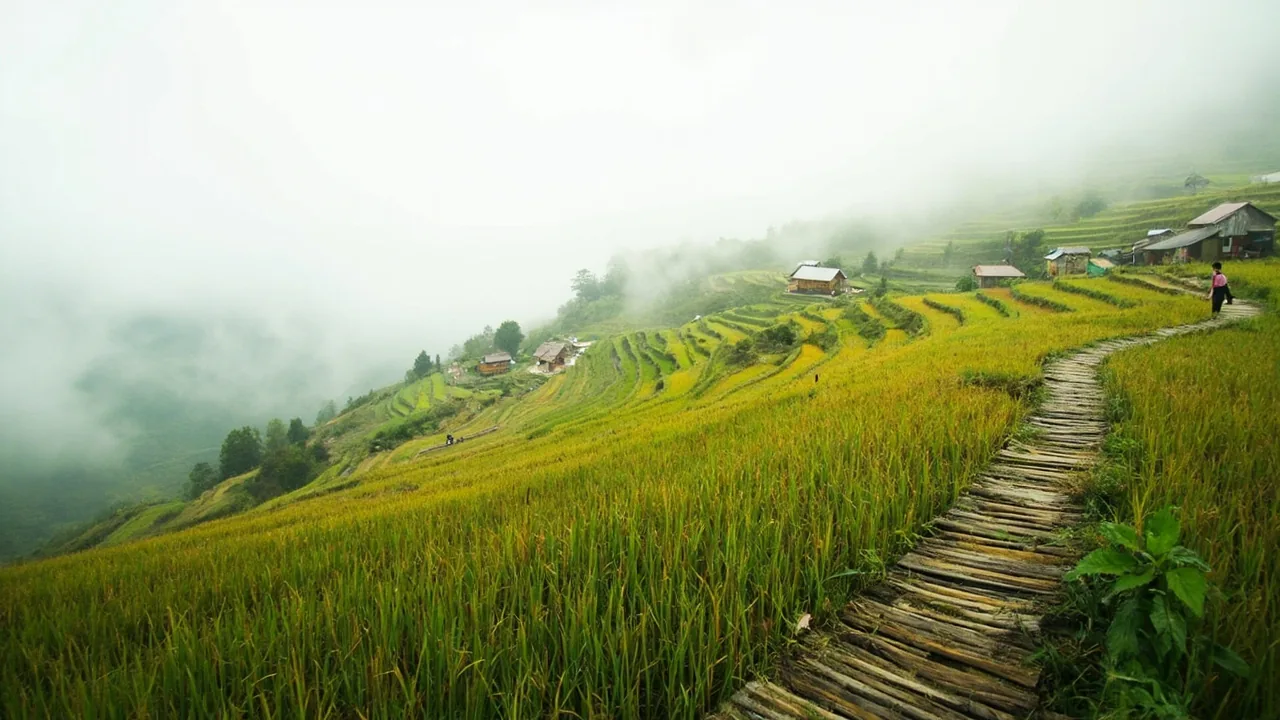 Sapa Hidden Gems: 12 Off the Beaten Path Spots Most (2026)