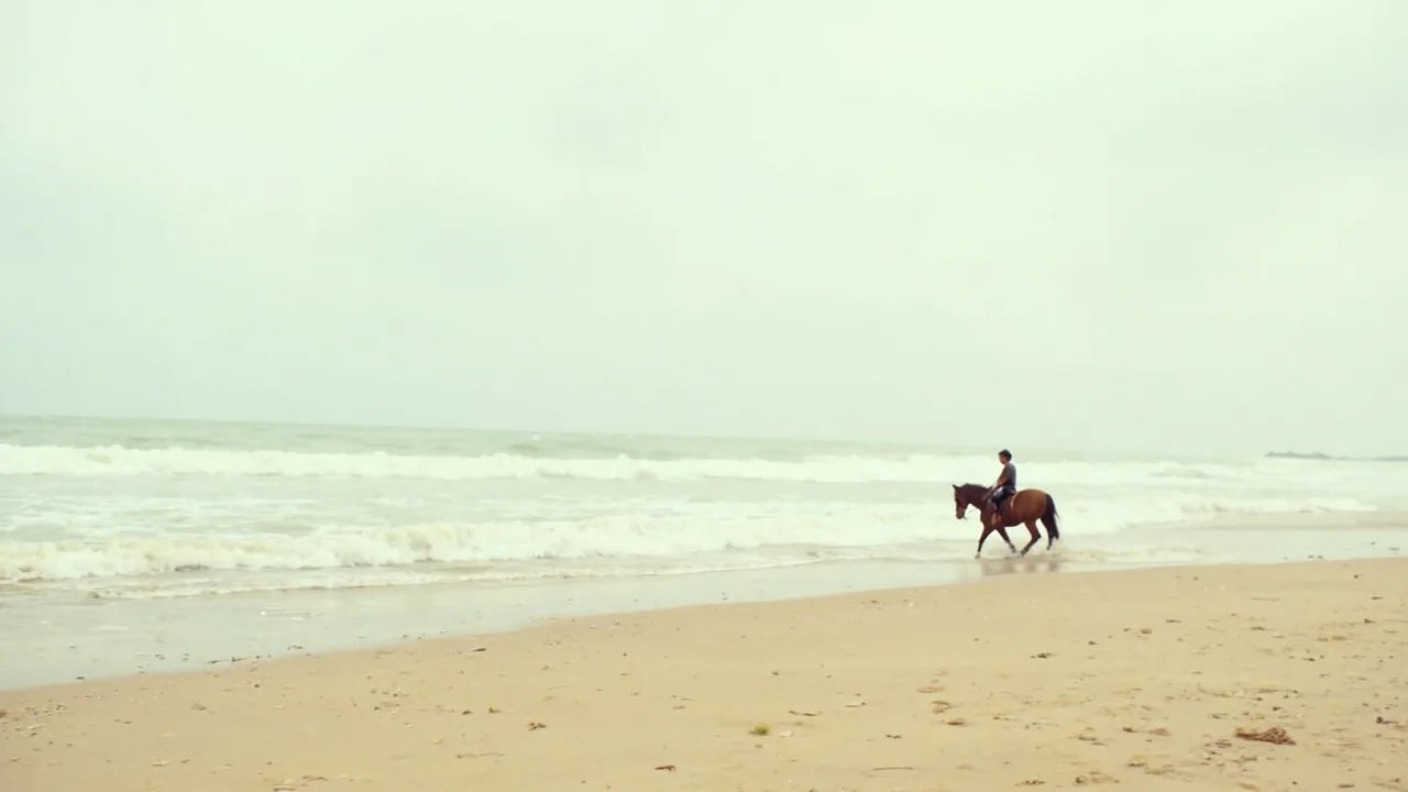 Horse Riding on Da Lat Coast (2026): Backpacker Guide