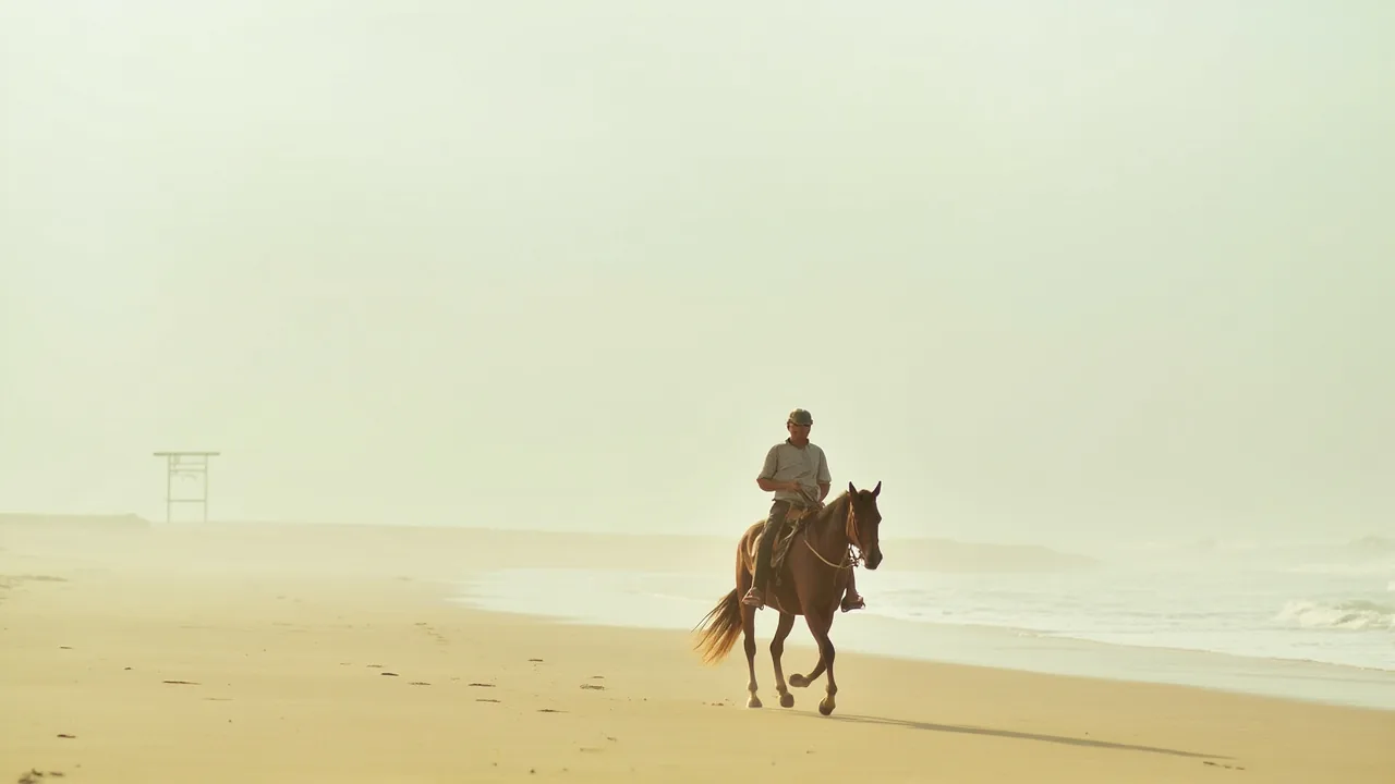 Horseback Riding on Mui Ne Beach: 2026 Guide on a Budget