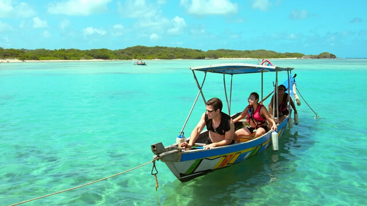 Cebu Wildlife Sanctuaries: Sea, Dolphins & Animals (2026)