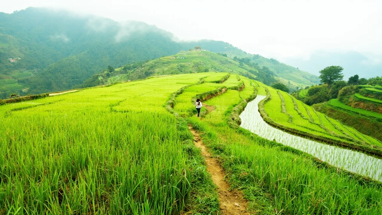 Visiting Vietnam in April: Weather, Crowds, Prices (2026)